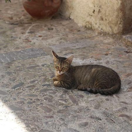 Dolce Aida Apartment Cefalu Luaran gambar